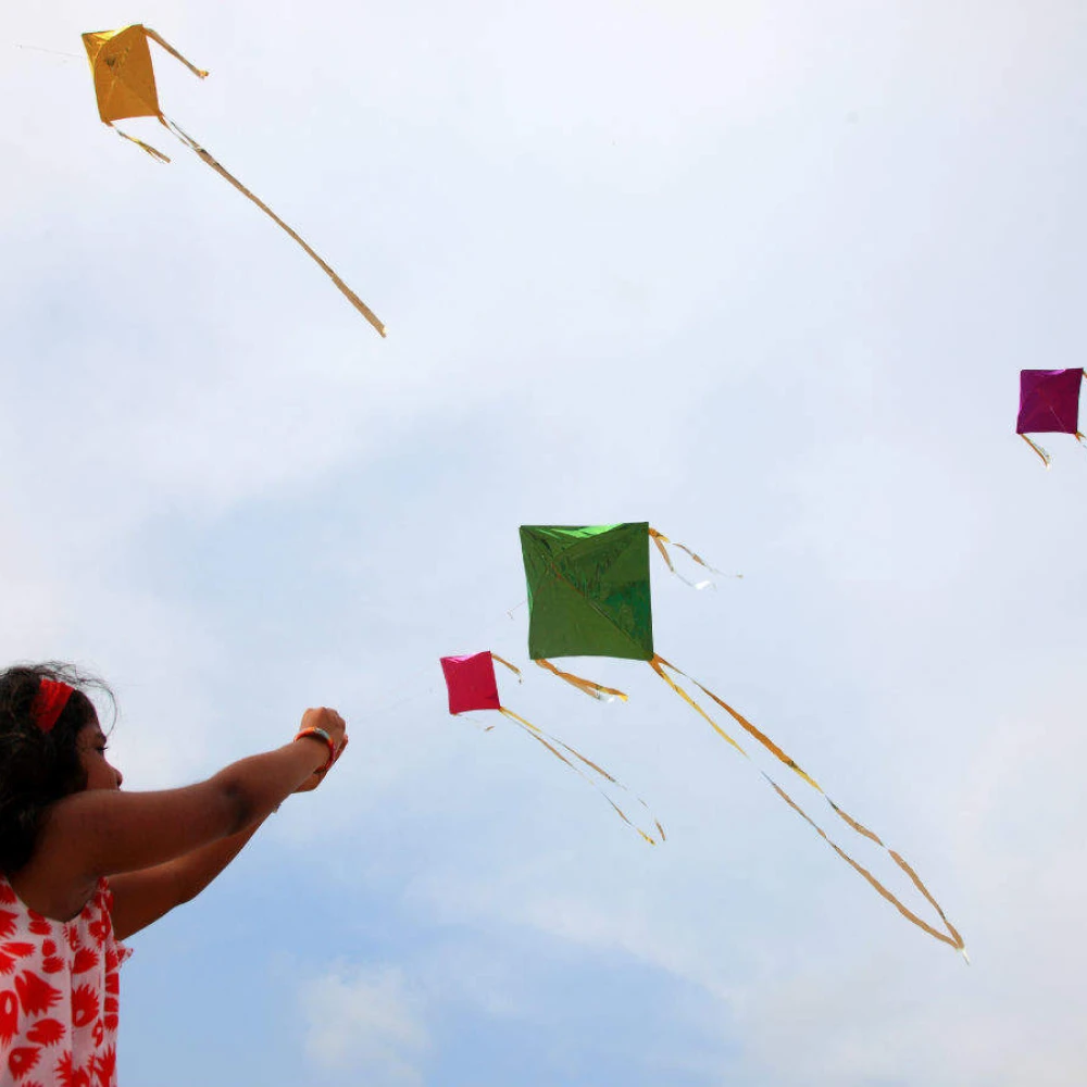 Soar High with Kite Flying at Veda Adventures