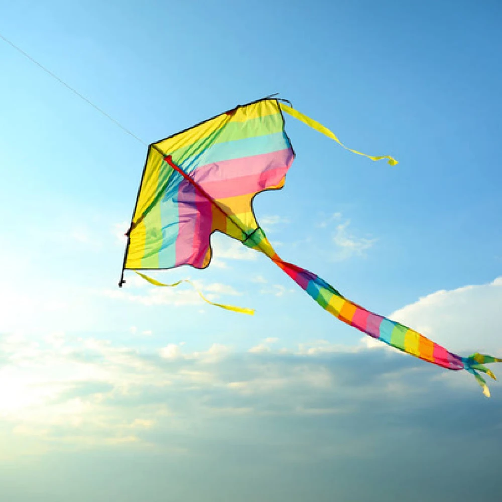 Soar High with Kite Flying Highlights