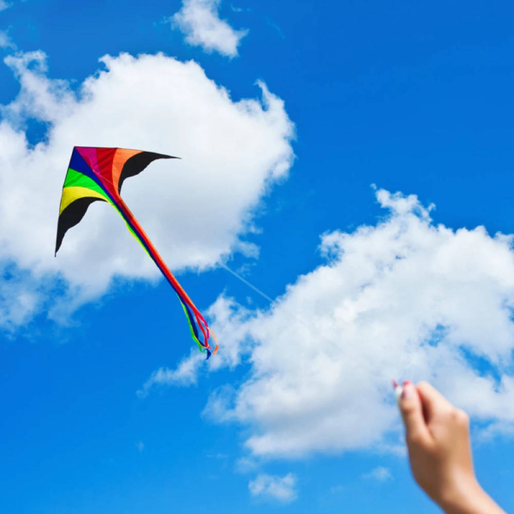 What's Included in Soar High with Kite Flying