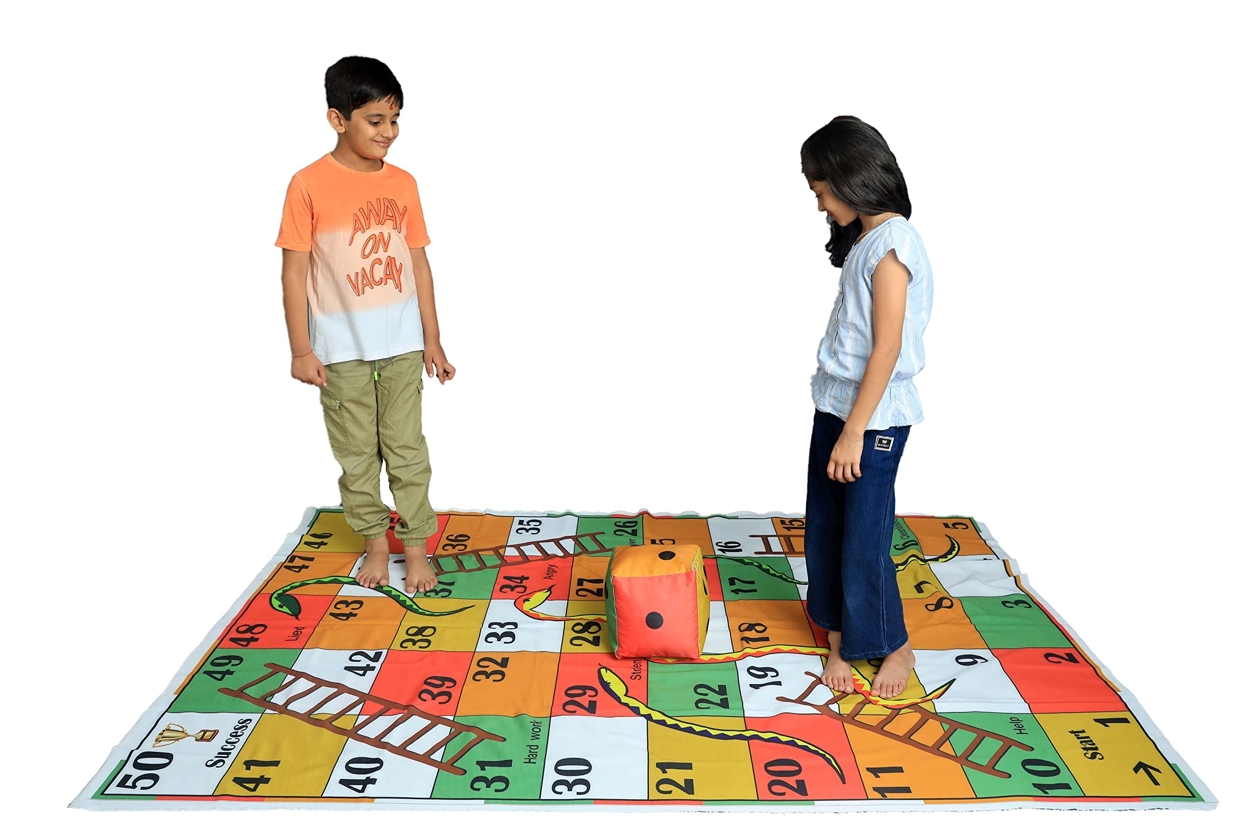 Up & Down Fun Snake & Ladder Highlights