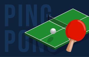 What's Included in Ping Pong Mini Table Tennis